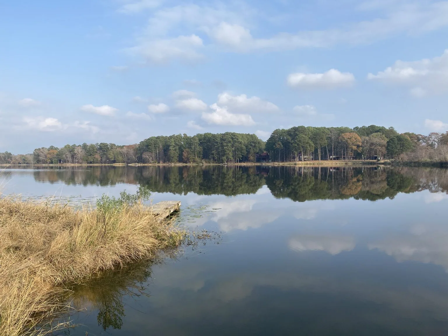 A quiet lake bordered by wooded lots at Eastdale Acres, trees reflected in calm water