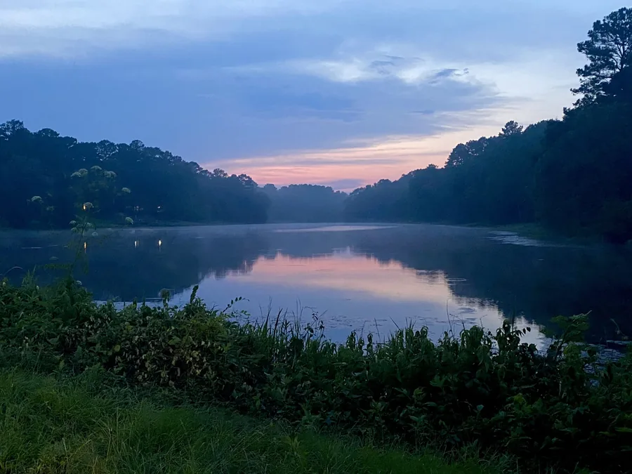 Dawn over one of the private lakes at Eastdale Acres, a soft pink sky reflected on still water