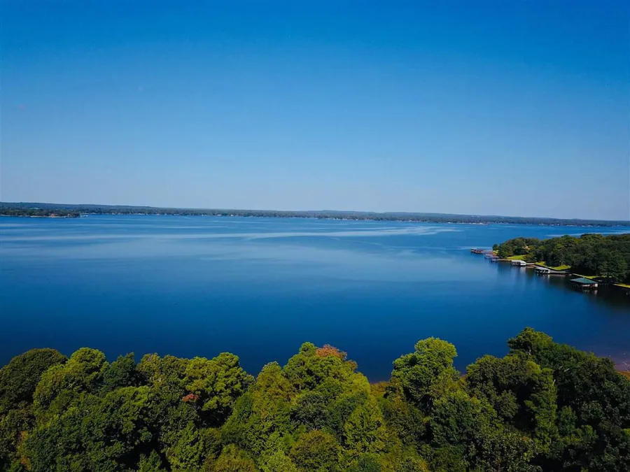 Elevated view of the wide blue expanse of Lake Palestine bordered by a green wooded shoreline and scattered docks